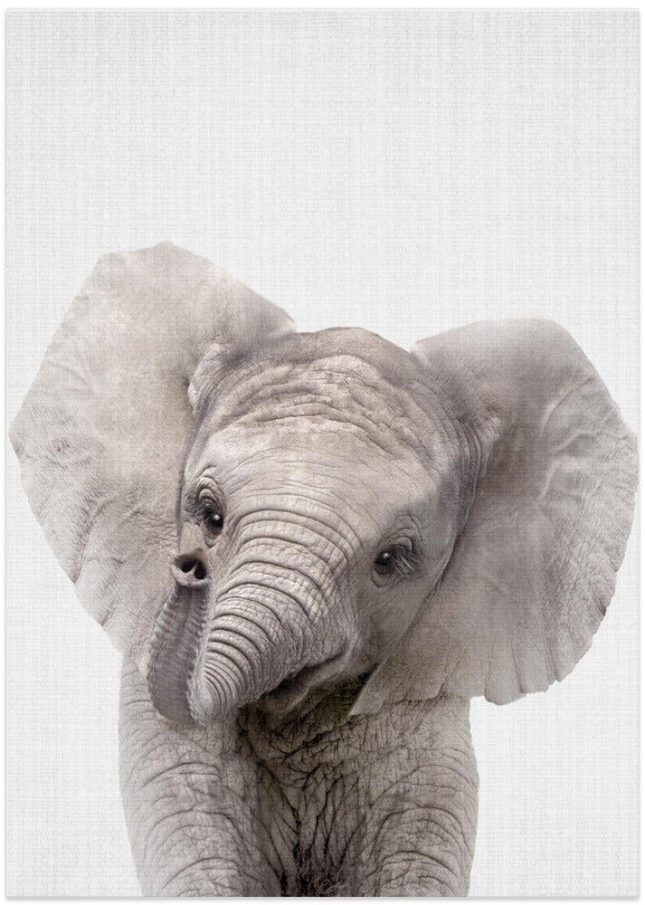 Peekaboo Baby Elephant
