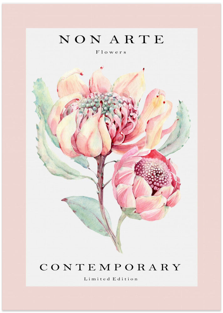 Non Arte rose flower