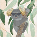 Cool Koala