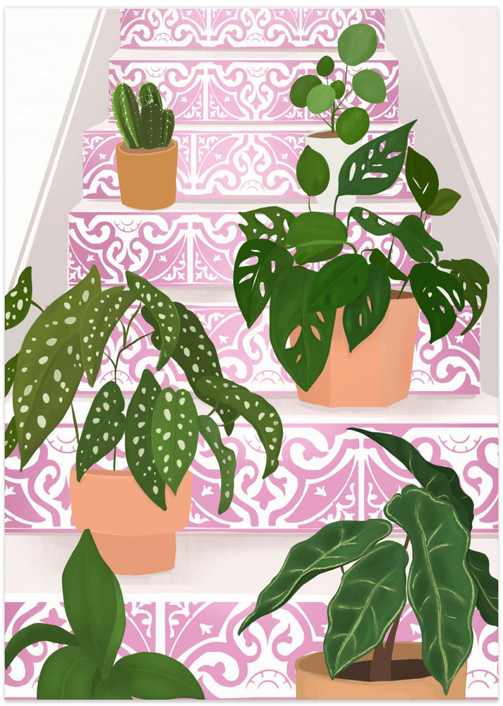 Plants
