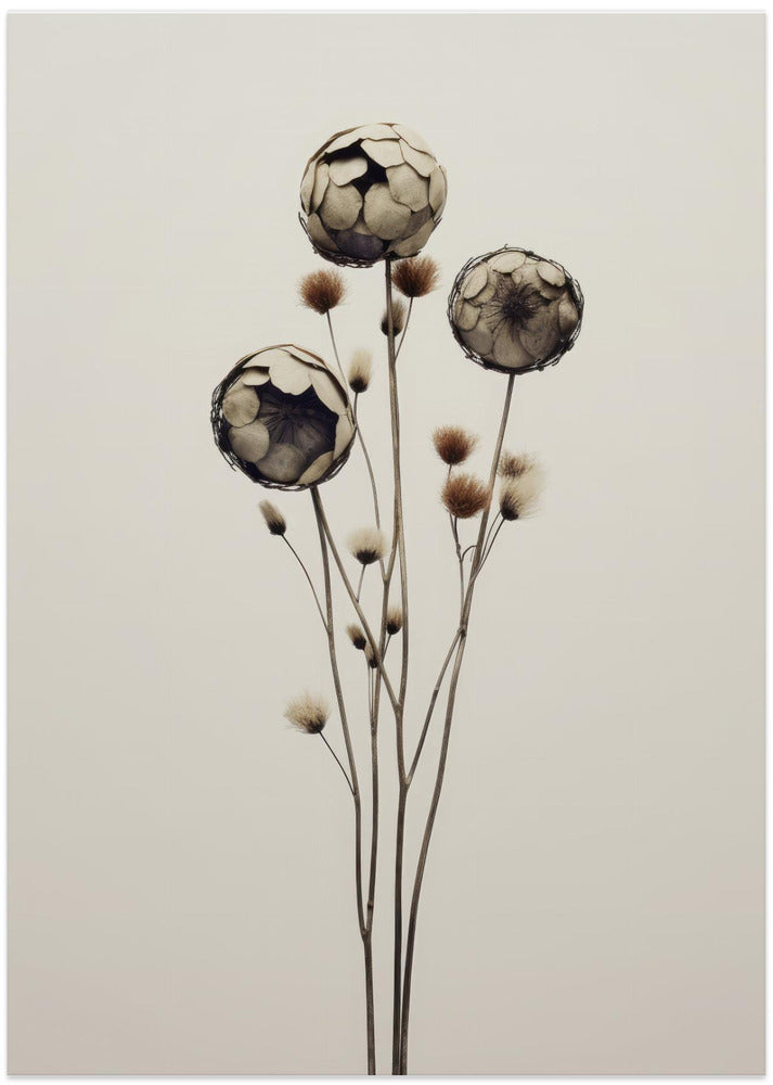 Ethereal Blooms