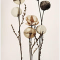 Glass Ball Flowers