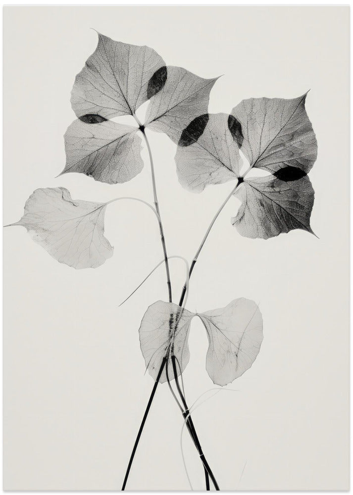 Ethereal Leaves