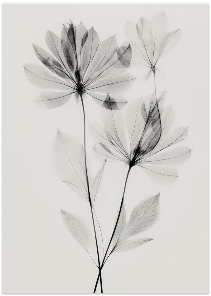 Ethereal Blossoms