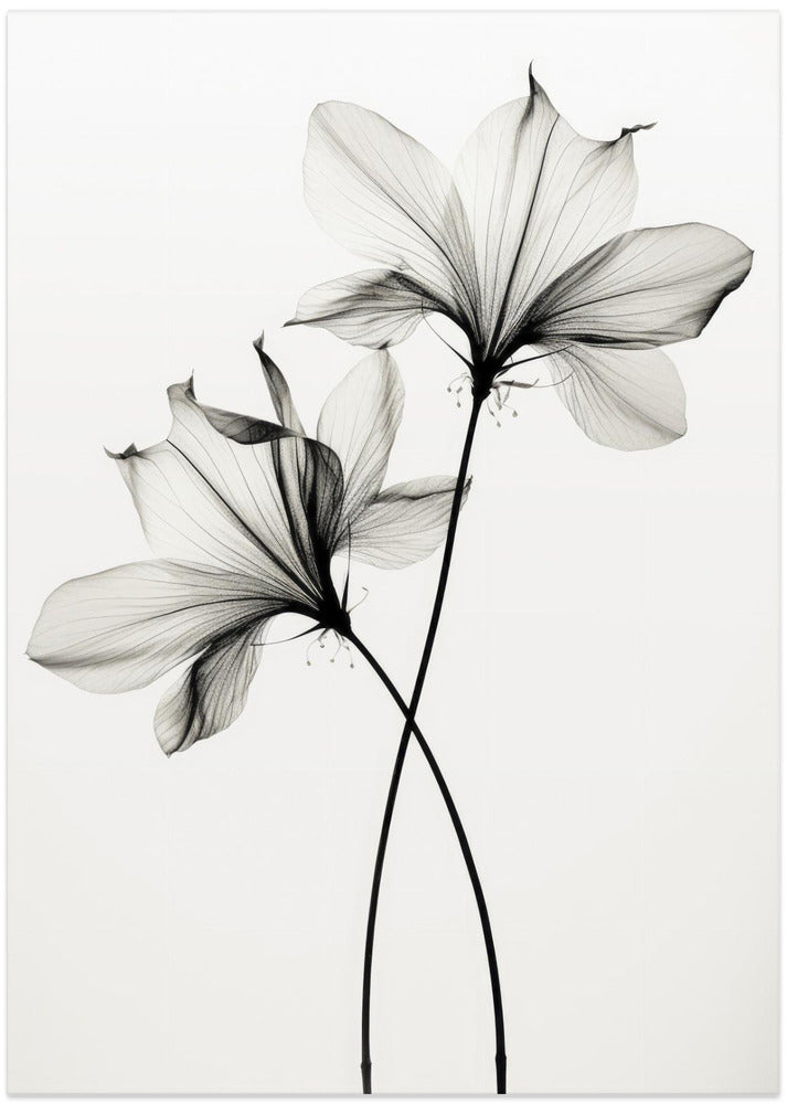 Whispers of Petals