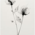 Ethereal Blooms