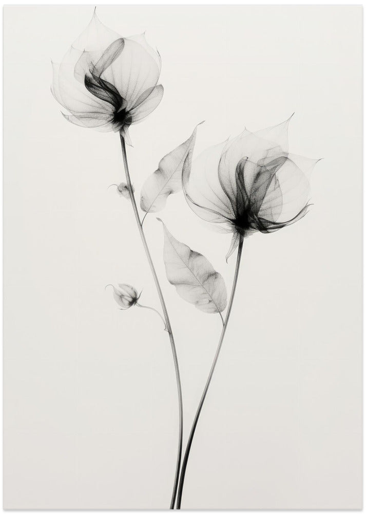 Ethereal Blooms