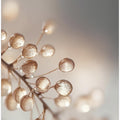 Golden Dewdrops