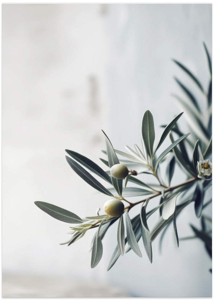 Olive Serenity