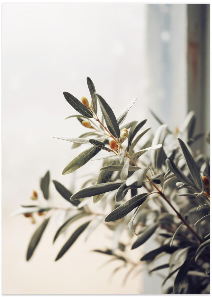 Olive Branch Light