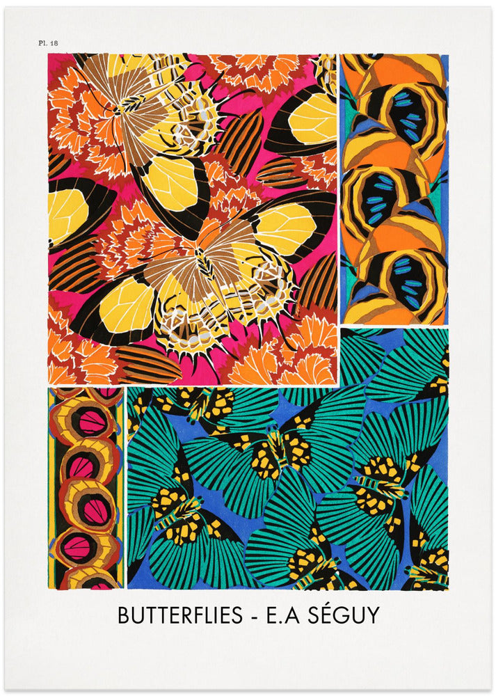 Butterflies 18