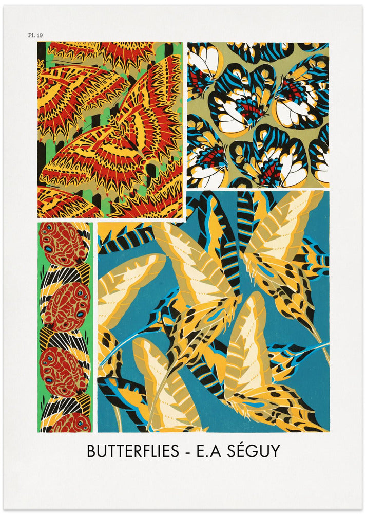 Butterflies 19
