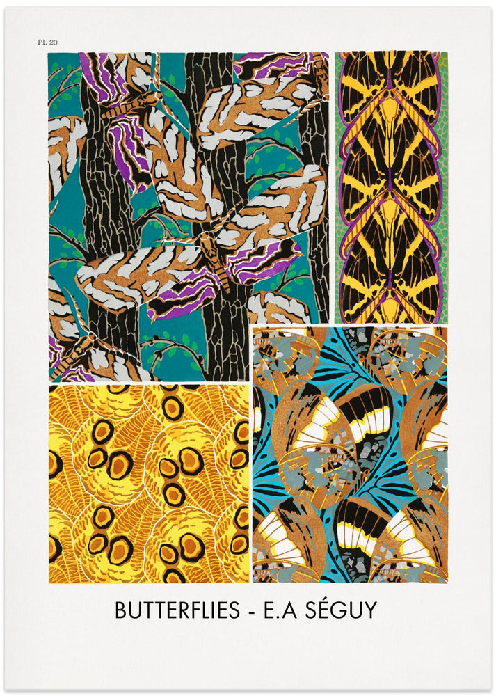 Butterflies 20