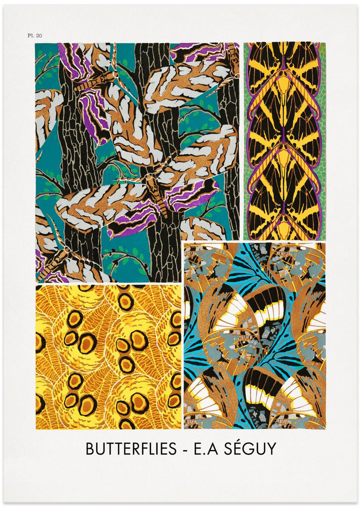 Butterflies 20