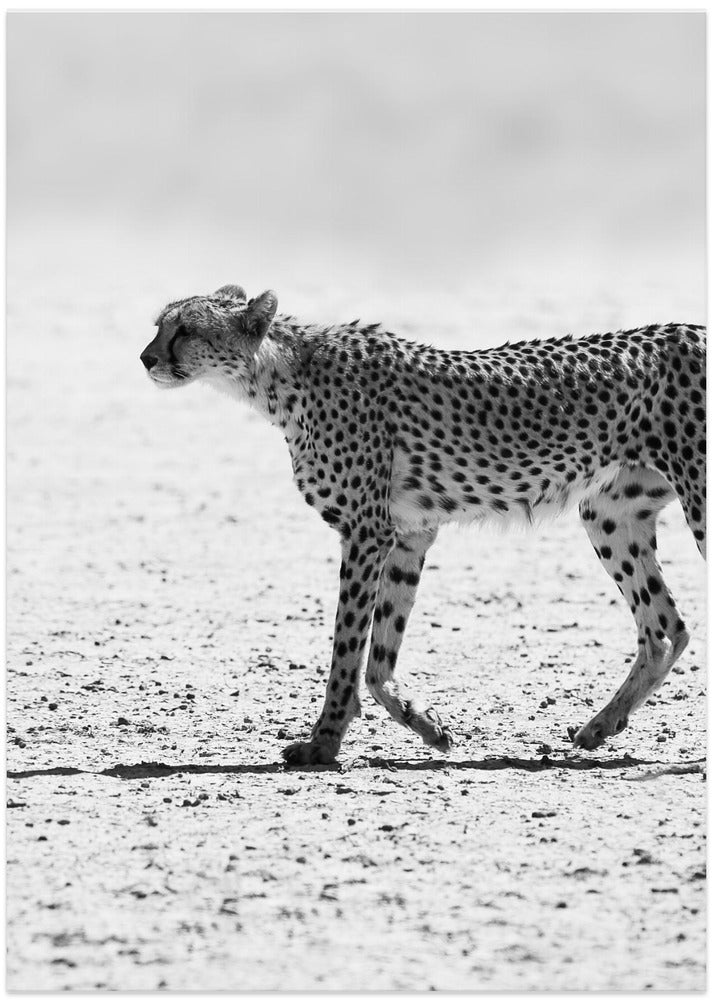 Silent Pursuit