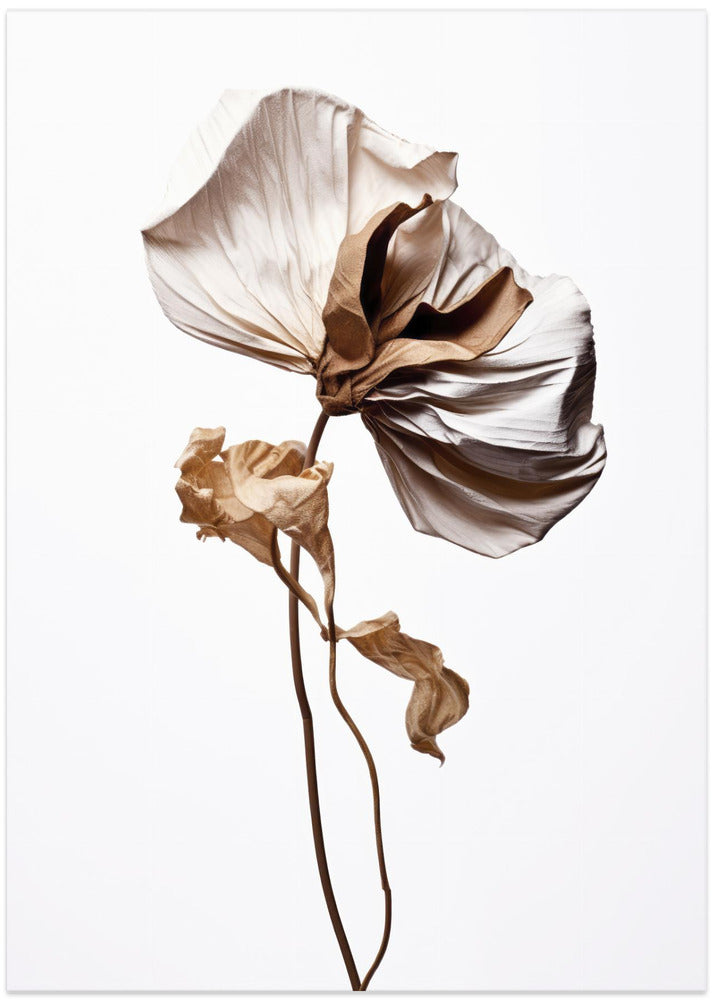 Whispering Petals