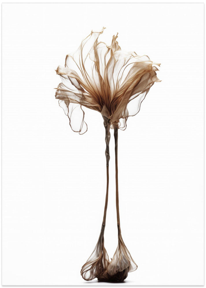 Delicate Whimsy