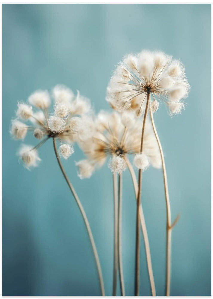 Puffs in the Breeze