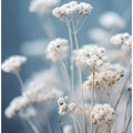 Delicate Whispers