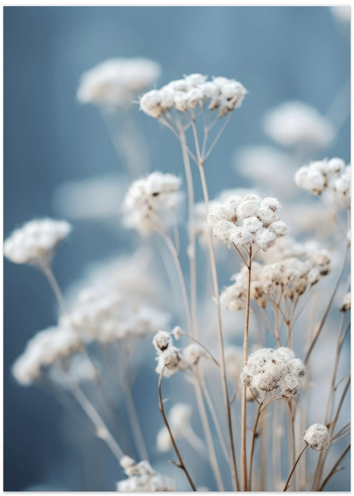 Delicate Whispers