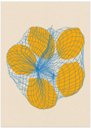 Art Prints of Five Lemons In a Net Bag