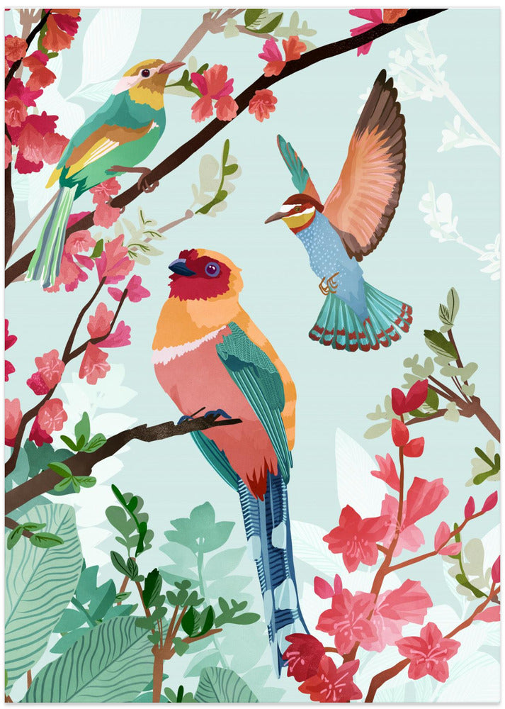 Birds of Summer