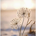 Whispers of Light
