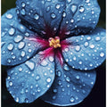 Raindrop Blossom