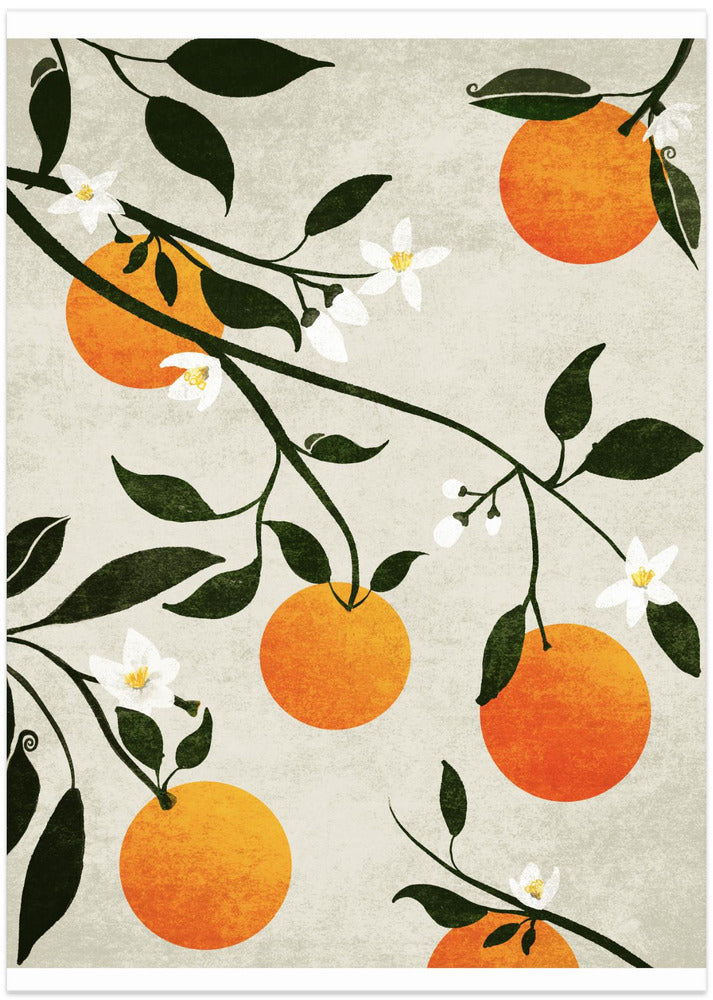Oranges in Bloom