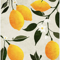 Citrus Symphony