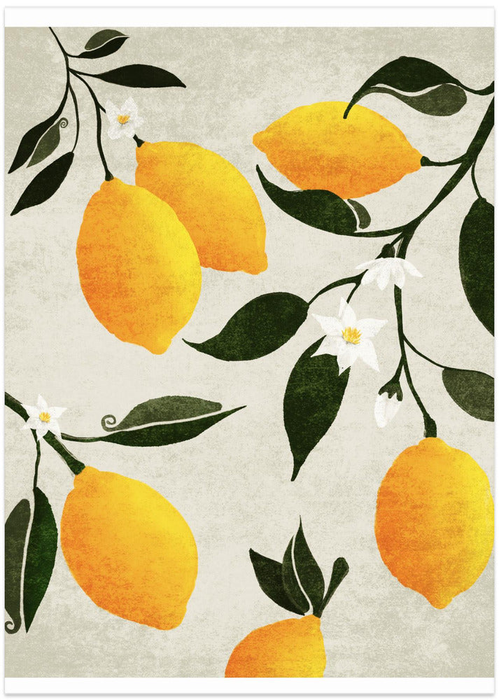 Citrus Symphony