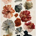 Blooming Essence