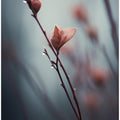 Whispers of Spring