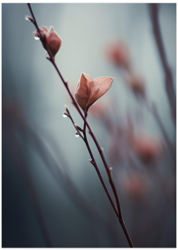 Whispers of Spring