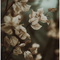Whispering Leaves