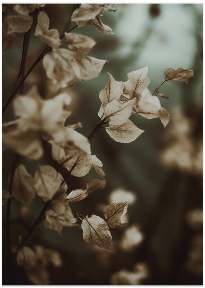 Whispering Leaves