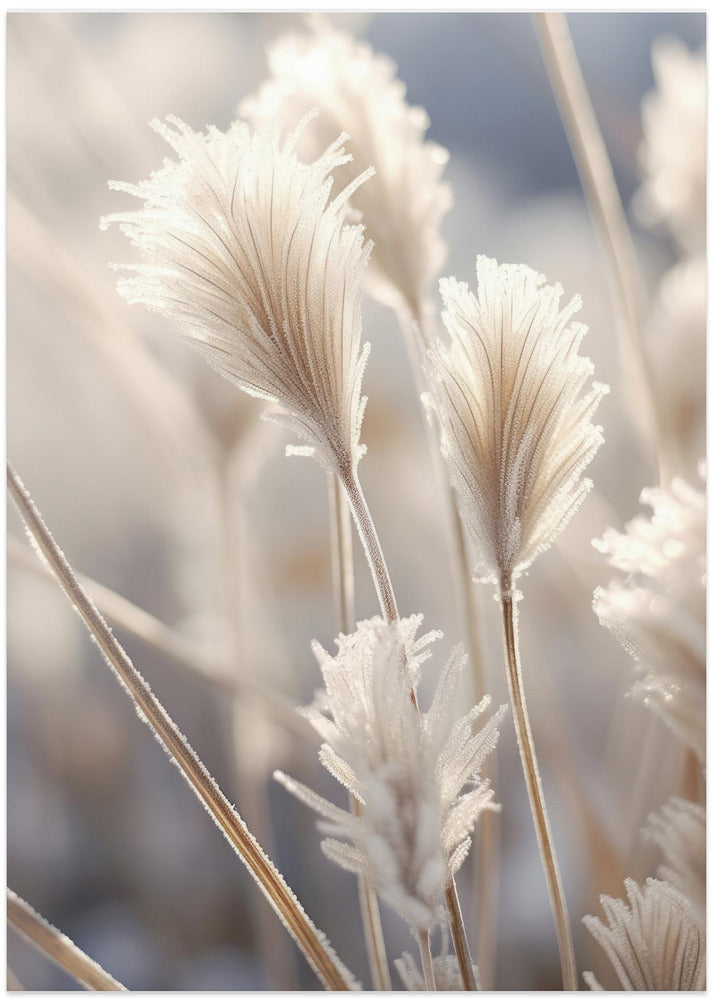 Frosted Elegance