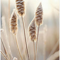 Frosted Serenity