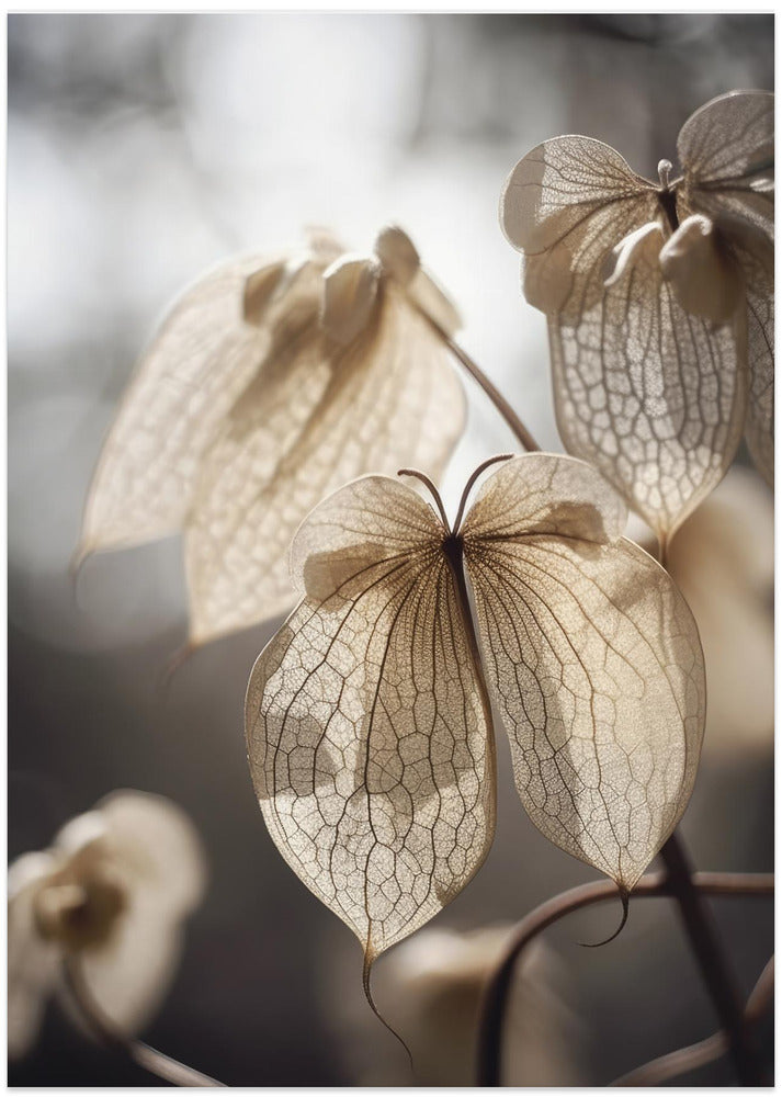 Ethereal Petals