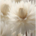 Whispering Petals