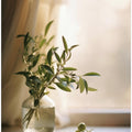 Sunlit Elegance