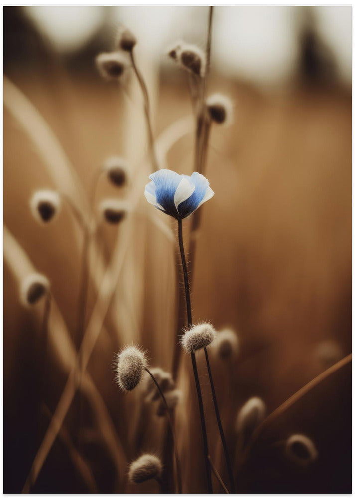 Blooming Serenity