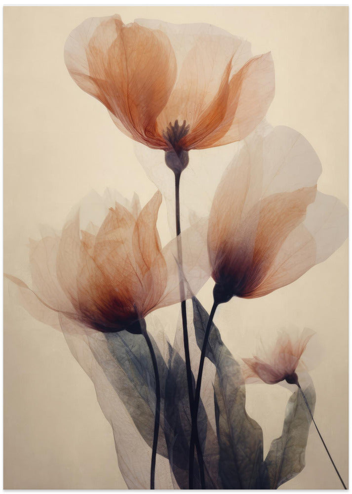 Translucent Blooms