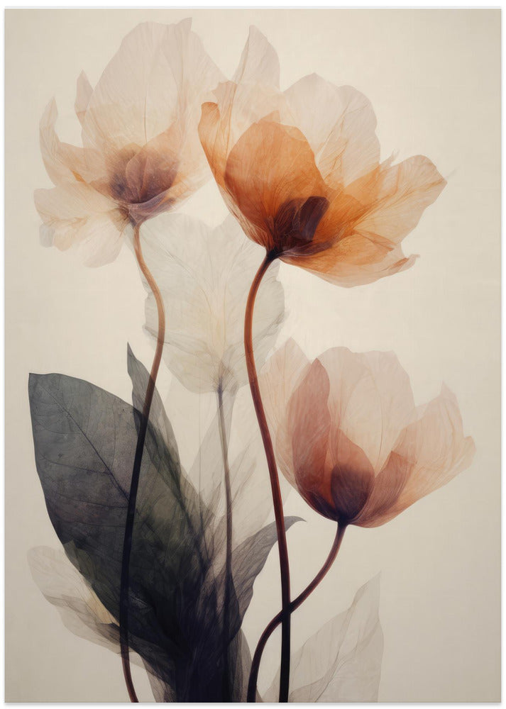 Whispering Petals