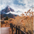 The trail to the rock
