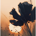 Ethereal Sunset Bloom