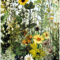 Meadow flowers 10