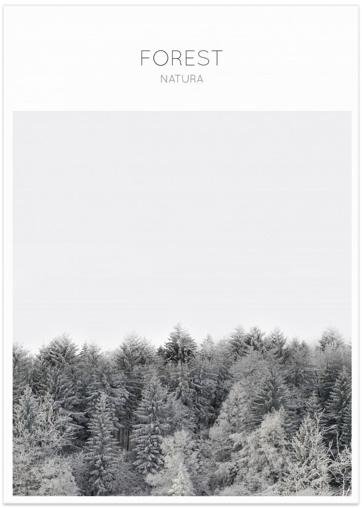 Frosted Tranquility