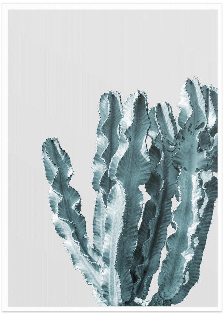 Cactus Elegance
