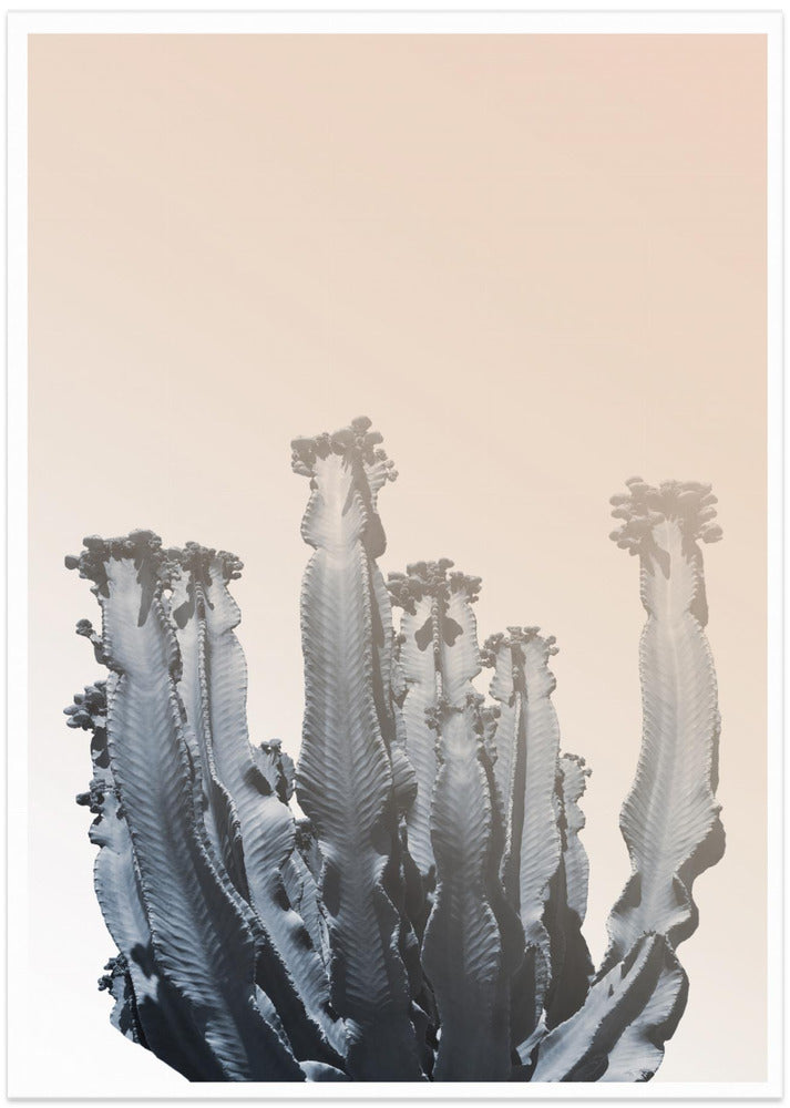 Cactus Silhouettes